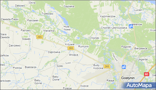 mapa Rumunki gmina Gostynin, Rumunki gmina Gostynin na mapie Targeo