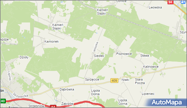 mapa Siedlec gmina Izbicko, Siedlec gmina Izbicko na mapie Targeo