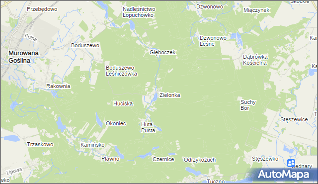 mapa Zielonka gmina Murowana Goślina, Zielonka gmina Murowana Goślina na mapie Targeo