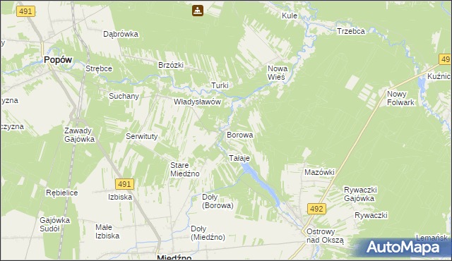 mapa Borowa gmina Miedźno, Borowa gmina Miedźno na mapie Targeo