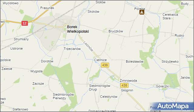 mapa Leonów gmina Borek Wielkopolski, Leonów gmina Borek Wielkopolski na mapie Targeo