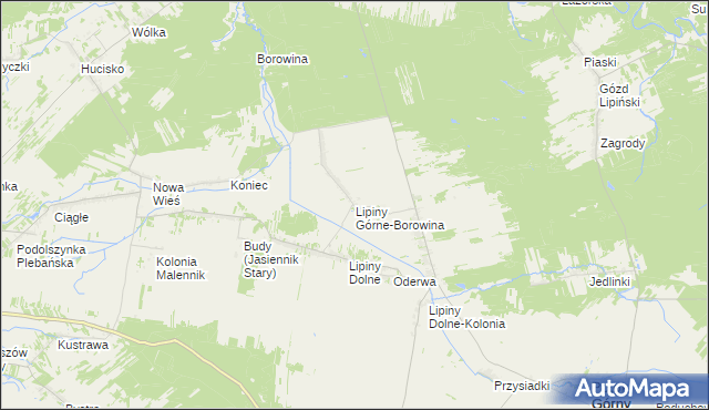 mapa Lipiny Górne-Borowina, Lipiny Górne-Borowina na mapie Targeo