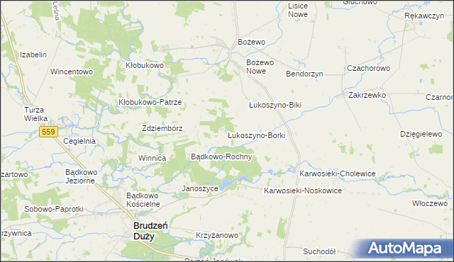 mapa Łukoszyno-Borki, Łukoszyno-Borki na mapie Targeo