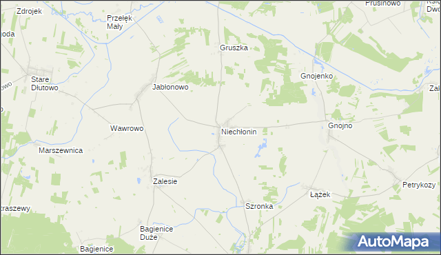 mapa Niechłonin, Niechłonin na mapie Targeo