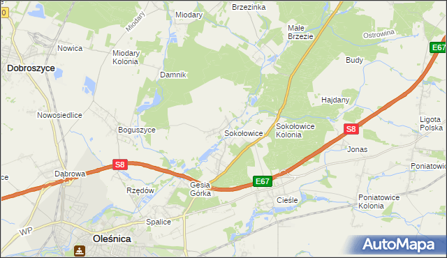 mapa Sokołowice gmina Oleśnica, Sokołowice gmina Oleśnica na mapie Targeo