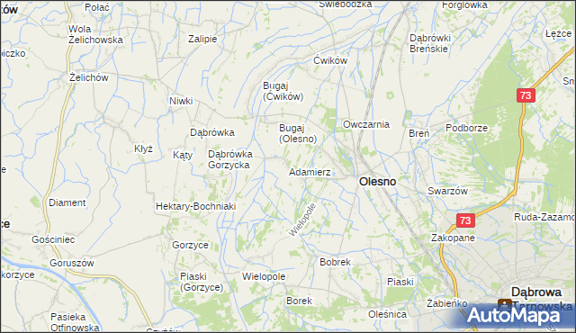 mapa Adamierz gmina Olesno, Adamierz gmina Olesno na mapie Targeo