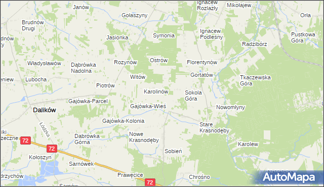 mapa Anastazew gmina Parzęczew, Anastazew gmina Parzęczew na mapie Targeo