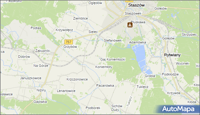 mapa Gaj Koniemłocki, Gaj Koniemłocki na mapie Targeo