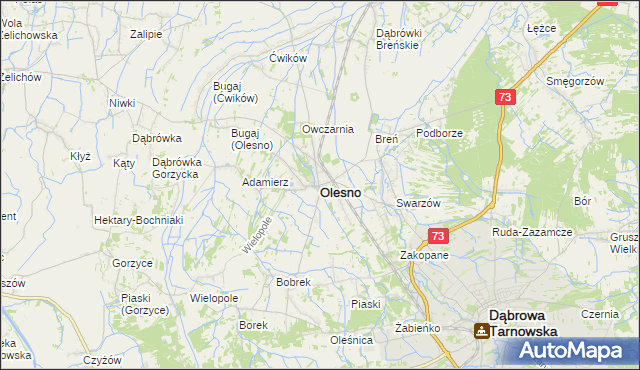 mapa Olesno powiat dąbrowski, Olesno powiat dąbrowski na mapie Targeo