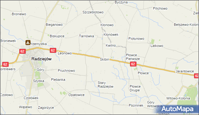 mapa Skibin gmina Radziejów, Skibin gmina Radziejów na mapie Targeo