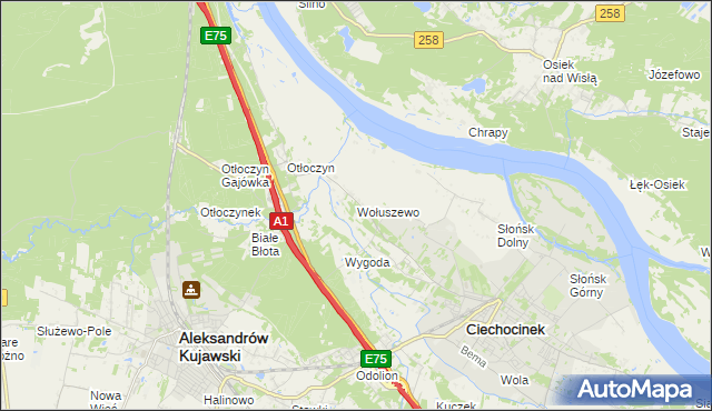 mapa Wołuszewo, Wołuszewo na mapie Targeo