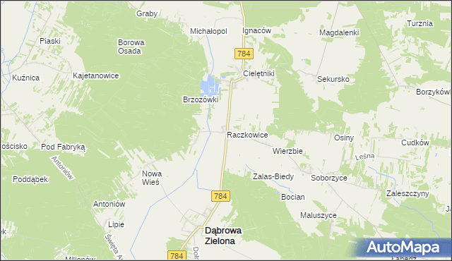 mapa Raczkowice, Raczkowice na mapie Targeo