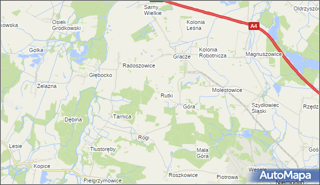 mapa Rutki gmina Niemodlin, Rutki gmina Niemodlin na mapie Targeo