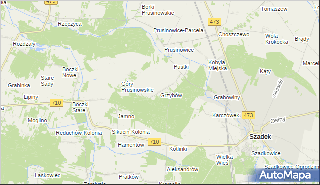 mapa Grzybów gmina Szadek, Grzybów gmina Szadek na mapie Targeo