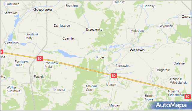 mapa Króle gmina Wąsewo, Króle gmina Wąsewo na mapie Targeo