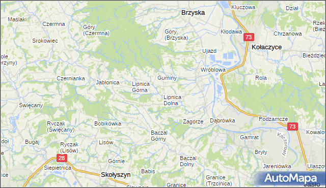 mapa Lipnica Dolna gmina Brzyska, Lipnica Dolna gmina Brzyska na mapie Targeo