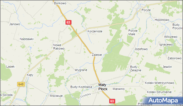 mapa Zalesie gmina Mały Płock, Zalesie gmina Mały Płock na mapie Targeo