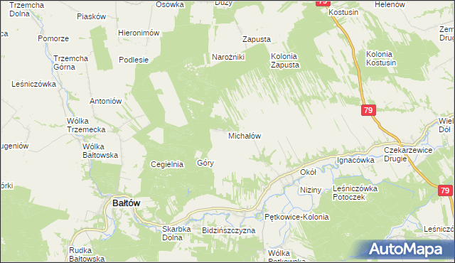 mapa Michałów gmina Bałtów, Michałów gmina Bałtów na mapie Targeo