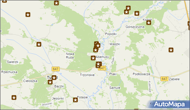 mapa Adamusy, Adamusy na mapie Targeo