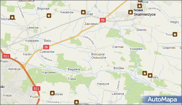 mapa Biskupice Ołoboczne, Biskupice Ołoboczne na mapie Targeo