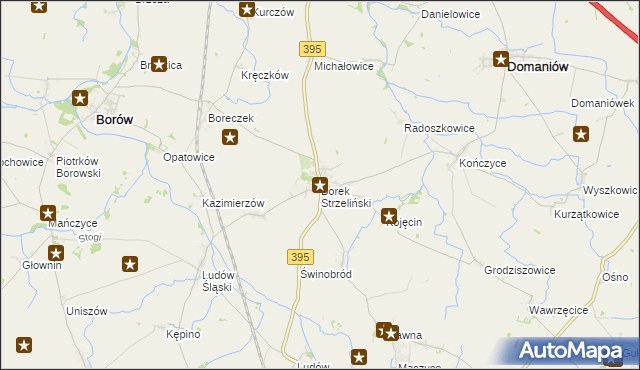 mapa Borek Strzeliński, Borek Strzeliński na mapie Targeo