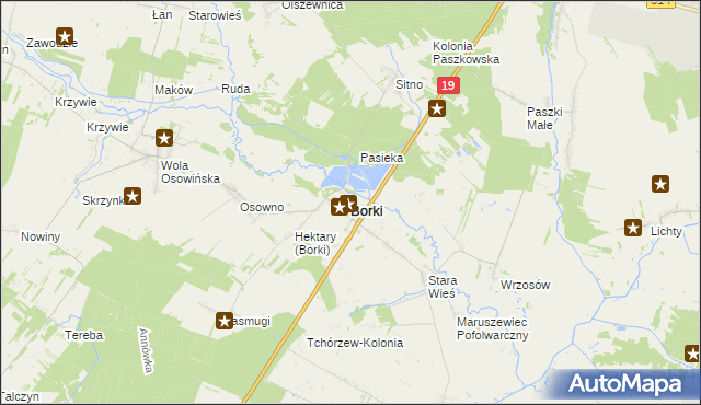 mapa Borki powiat radzyński, Borki powiat radzyński na mapie Targeo