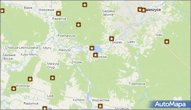 mapa Borków gmina Daleszyce, Borków gmina Daleszyce na mapie Targeo