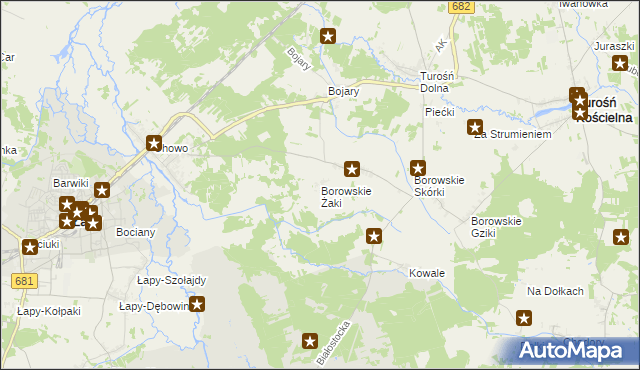 mapa Borowskie Żaki, Borowskie Żaki na mapie Targeo