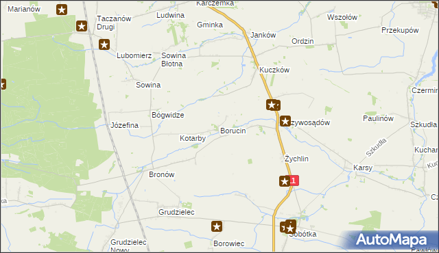 mapa Borucin gmina Pleszew, Borucin gmina Pleszew na mapie Targeo