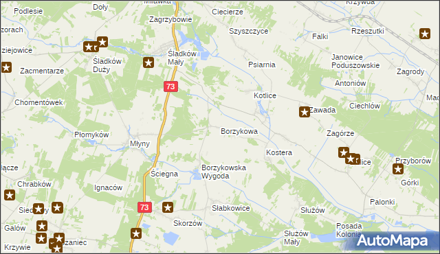 mapa Borzykowa gmina Chmielnik, Borzykowa gmina Chmielnik na mapie Targeo