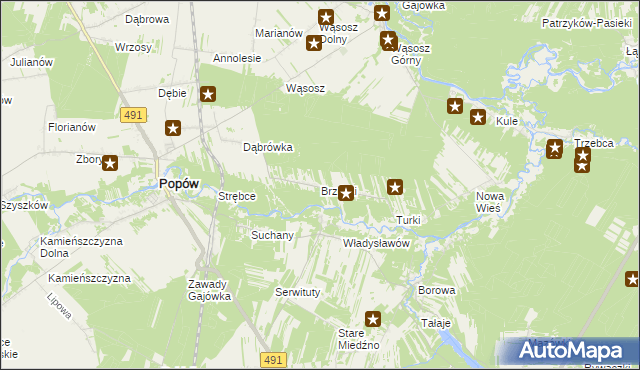 mapa Brzózki gmina Popów, Brzózki gmina Popów na mapie Targeo