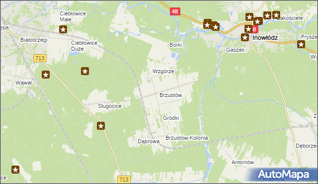 mapa Brzustów gmina Inowłódz, Brzustów gmina Inowłódz na mapie Targeo