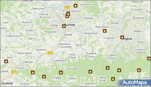 mapa Burzyn gmina Tuchów, Burzyn gmina Tuchów na mapie Targeo