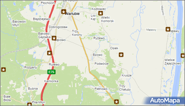 mapa Bzowo gmina Warlubie, Bzowo gmina Warlubie na mapie Targeo