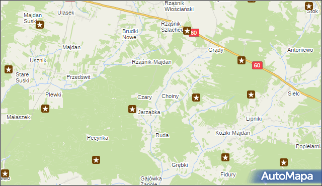 mapa Choiny gmina Wąsewo, Choiny gmina Wąsewo na mapie Targeo