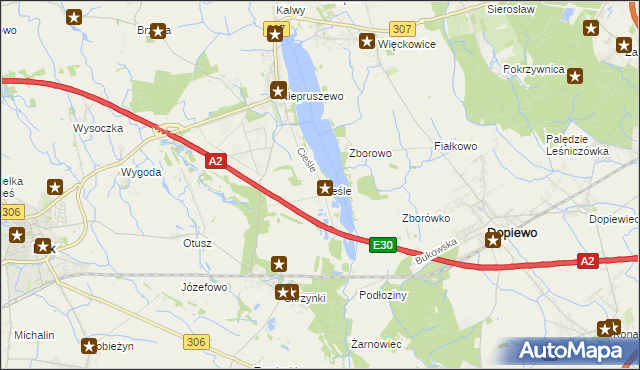 mapa Cieśle gmina Buk, Cieśle gmina Buk na mapie Targeo