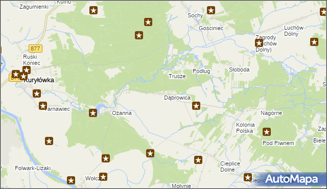 mapa Dąbrowica gmina Kuryłówka, Dąbrowica gmina Kuryłówka na mapie Targeo