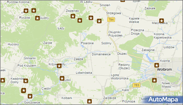 mapa Domaniewice gmina Wolbrom, Domaniewice gmina Wolbrom na mapie Targeo