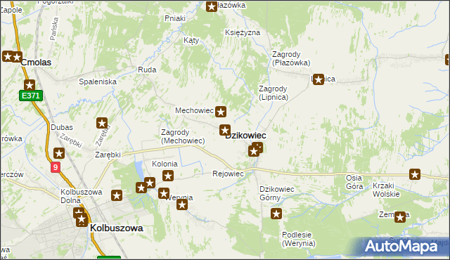 mapa Dzikowiec powiat kolbuszowski, Dzikowiec powiat kolbuszowski na mapie Targeo