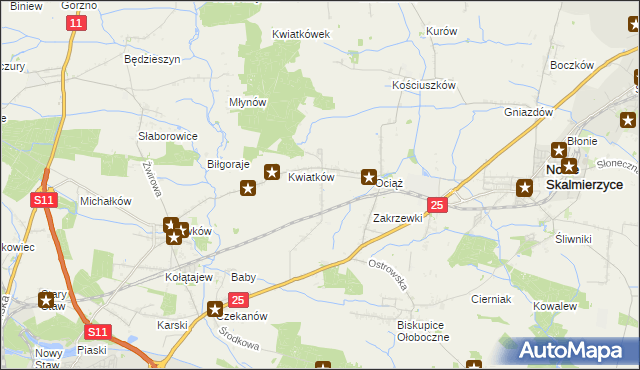 mapa Fabianów gmina Nowe Skalmierzyce, Fabianów gmina Nowe Skalmierzyce na mapie Targeo