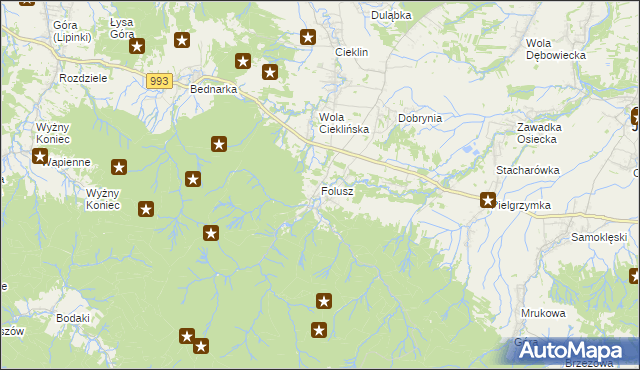 mapa Folusz gmina Dębowiec, Folusz gmina Dębowiec na mapie Targeo