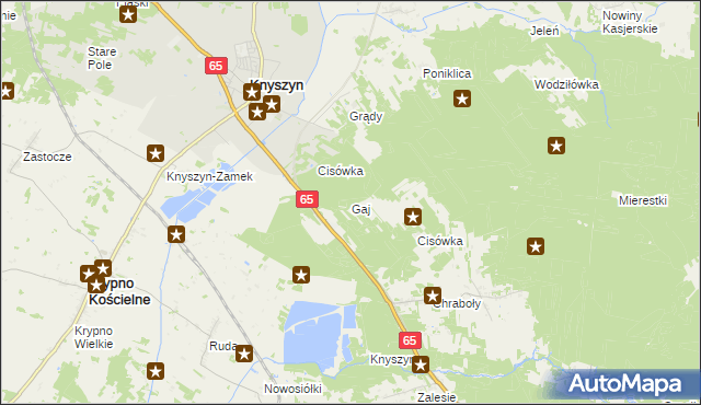 mapa Gaj gmina Dobrzyniewo Duże, Gaj gmina Dobrzyniewo Duże na mapie Targeo
