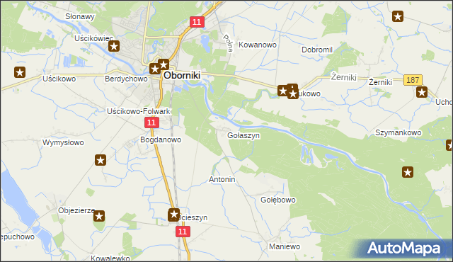 mapa Gołaszyn gmina Oborniki, Gołaszyn gmina Oborniki na mapie Targeo