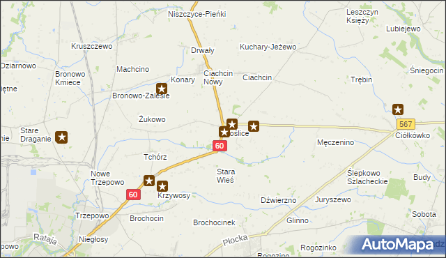 mapa Goślice, Goślice na mapie Targeo