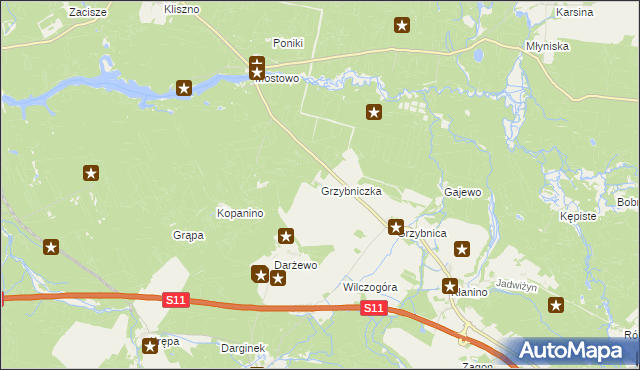 mapa Grzybniczka, Grzybniczka na mapie Targeo