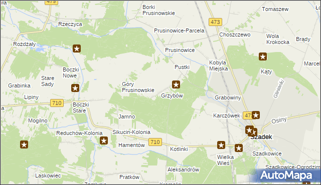 mapa Grzybów gmina Szadek, Grzybów gmina Szadek na mapie Targeo