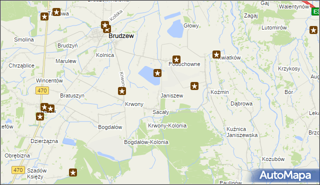 mapa Janiszew gmina Brudzew, Janiszew gmina Brudzew na mapie Targeo