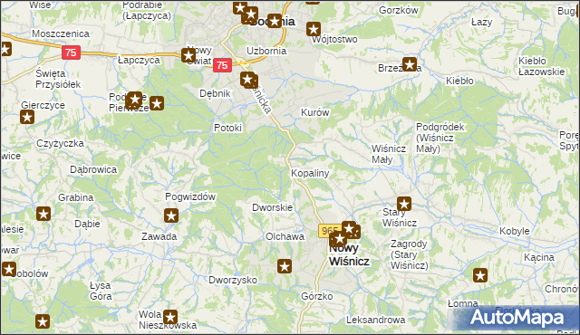 mapa Kopaliny gmina Nowy Wiśnicz, Kopaliny gmina Nowy Wiśnicz na mapie Targeo