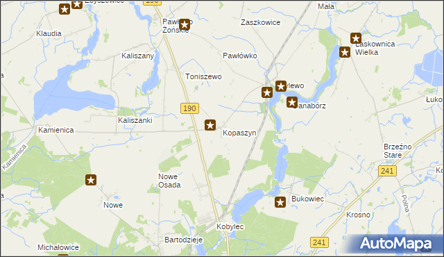 mapa Kopaszyn gmina Wągrowiec, Kopaszyn gmina Wągrowiec na mapie Targeo