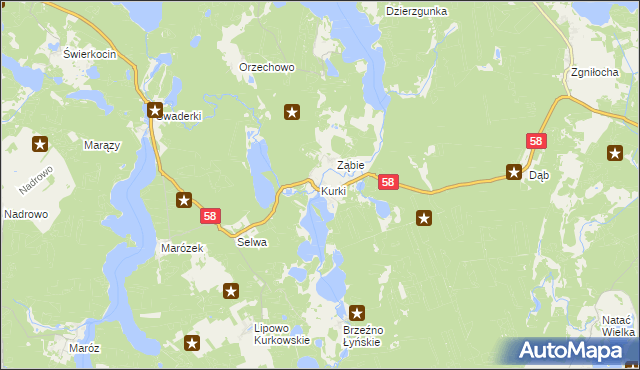 mapa Kurki gmina Olsztynek, Kurki gmina Olsztynek na mapie Targeo